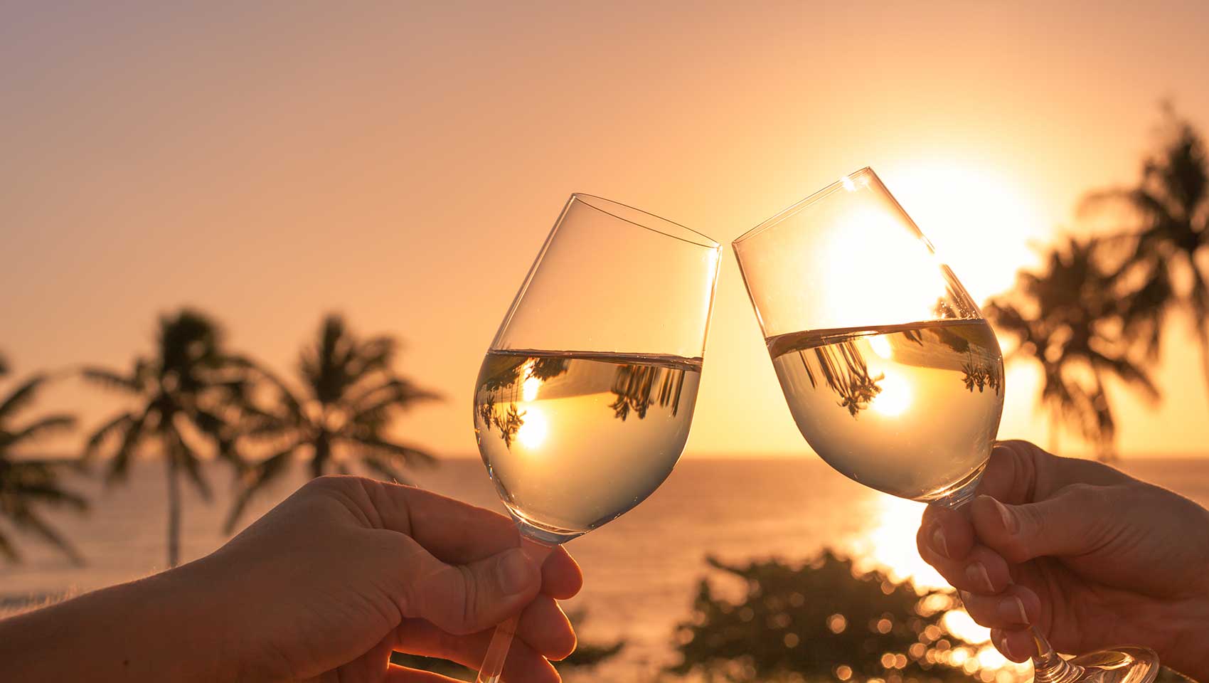 two wine glasses cheersing