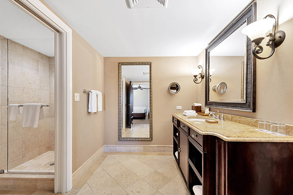 Guest Room Bathroom